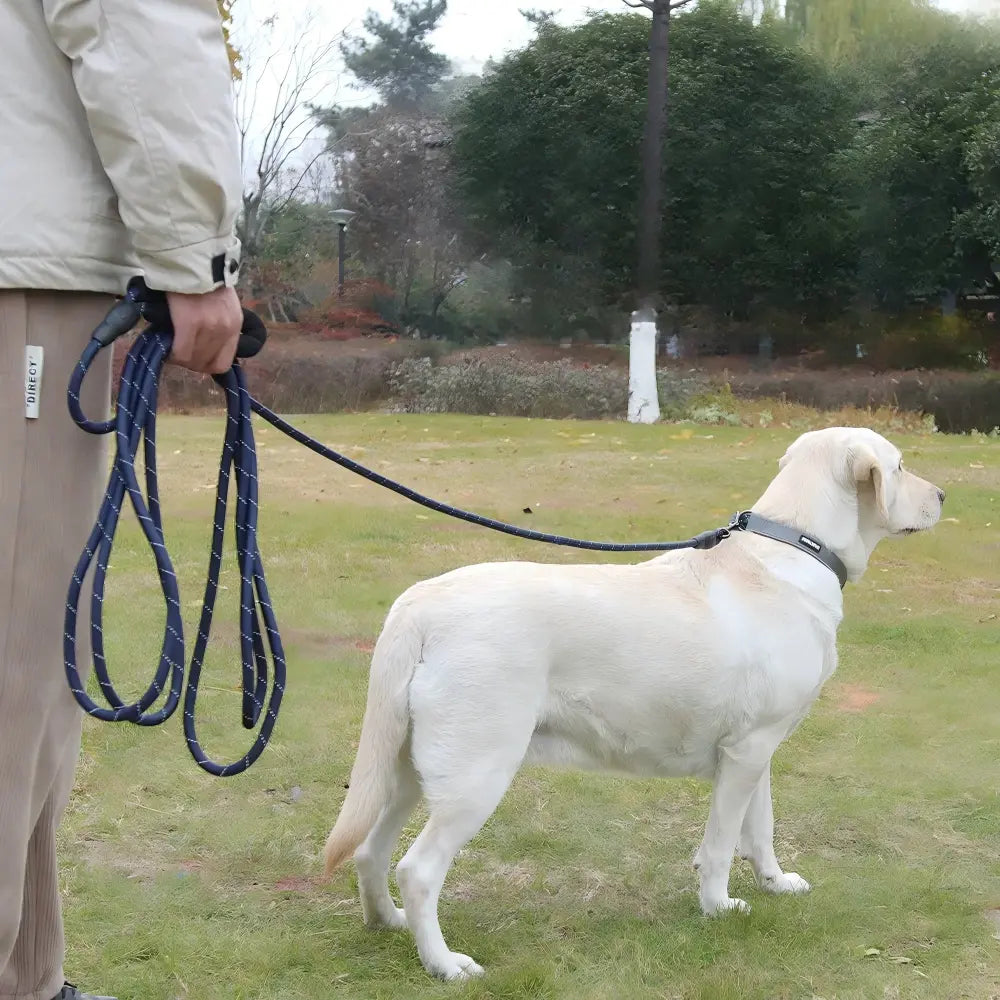 Heavy duty reflective retractable dog leash for large dogs – product view