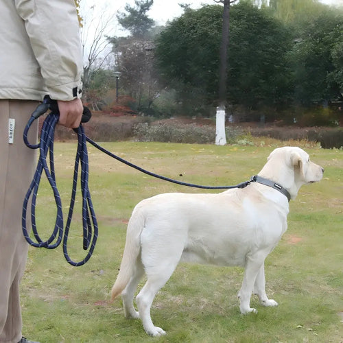 Heavy duty reflective retractable dog leash for large dogs – product view