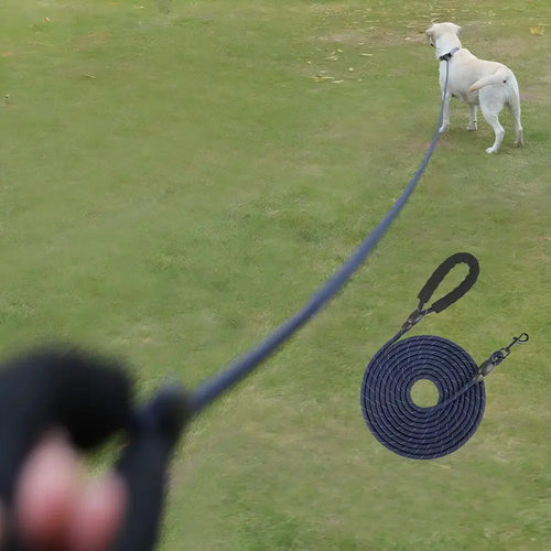 Reflective retractable dog leash for large dogs – close-up