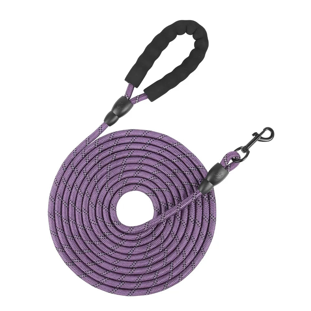Reflective dog leash for evening walks with large dogs