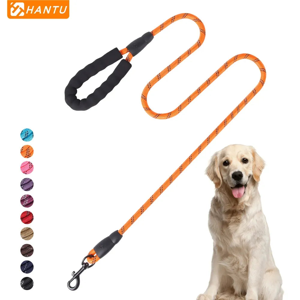 Braided nylon dog leash for everyday large dog walks