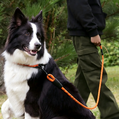 Heavy duty reflective braided nylon dog leash for large dogs – product view