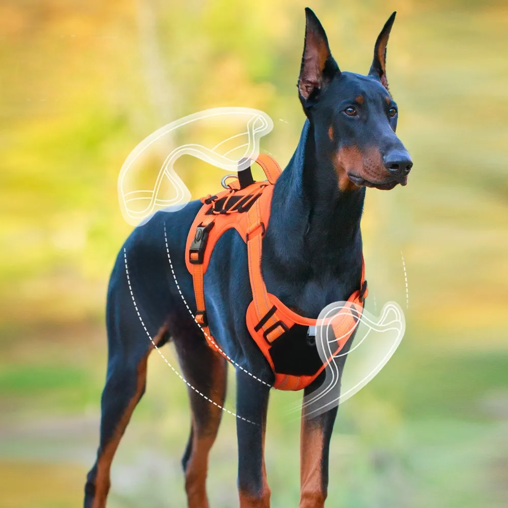 Heavy duty no pull dog harness and leash set for large dogs – product view