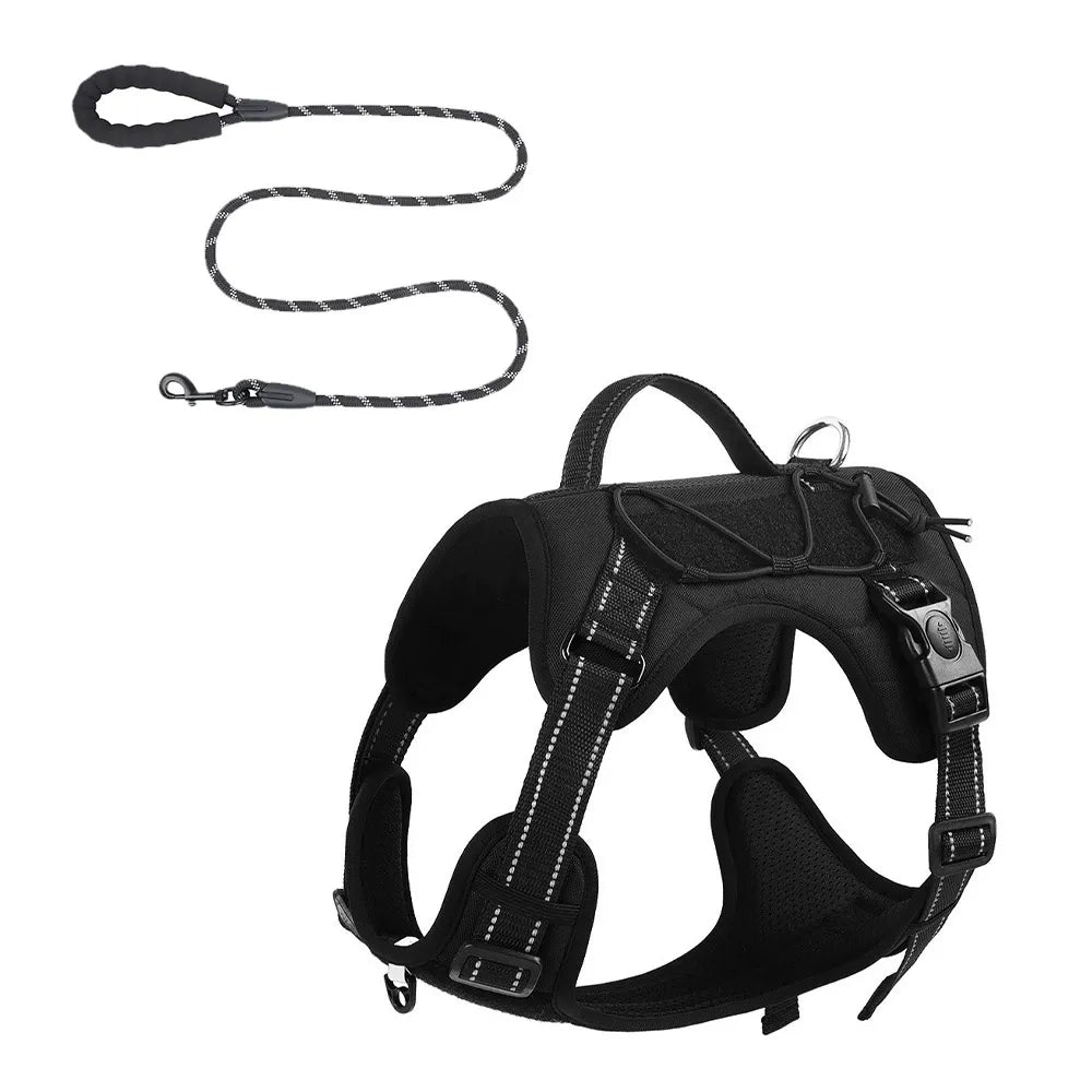 Heavy duty dog walking harness and leash set
