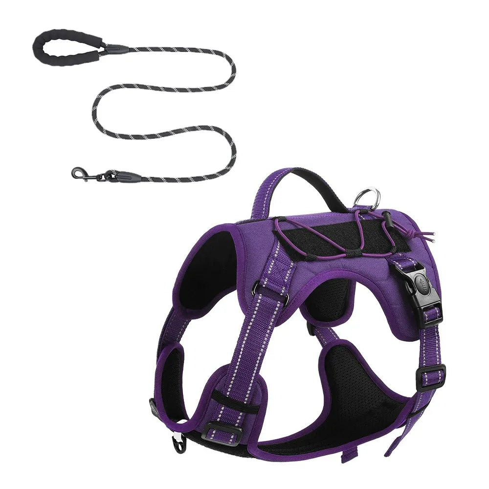 Large dog harness and leash configuration – detail