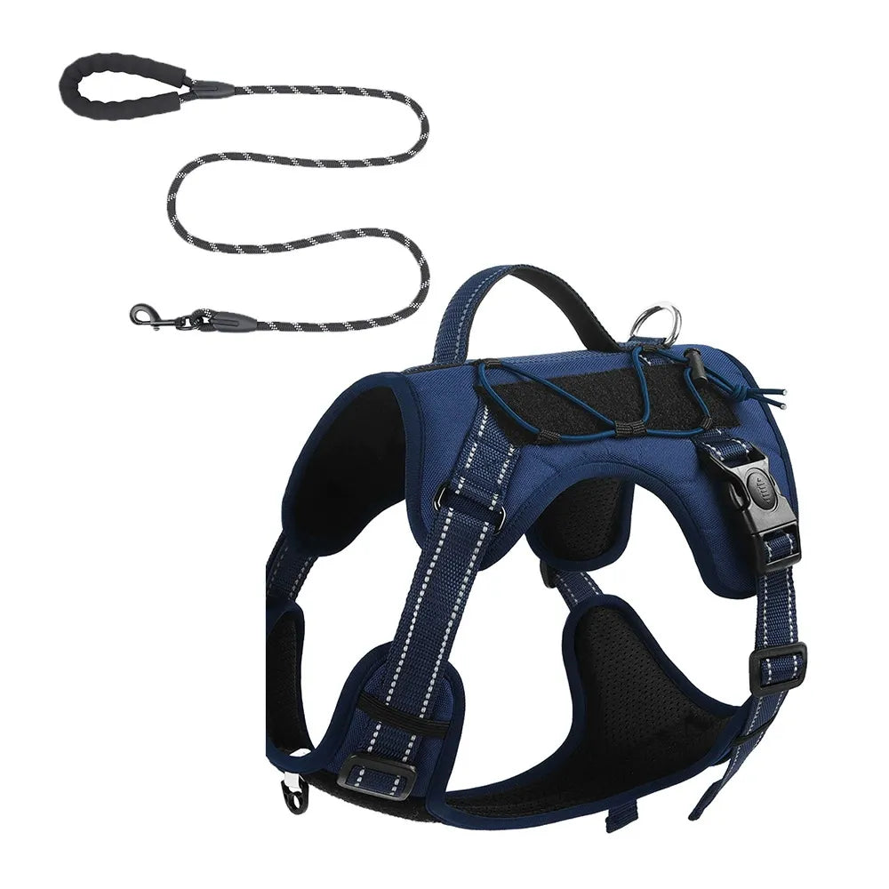Heavy duty harness and leash set for active dogs