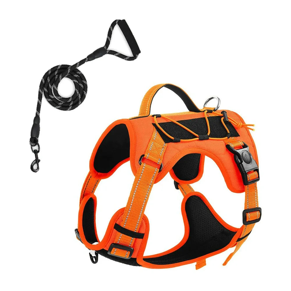 No pull harness and leash set – large dog gear