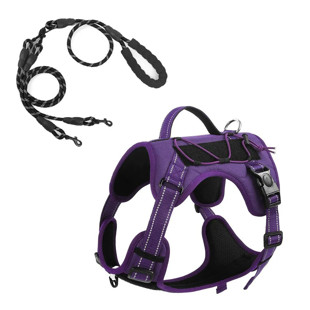 Dog harness and leash set for everyday large dog walks