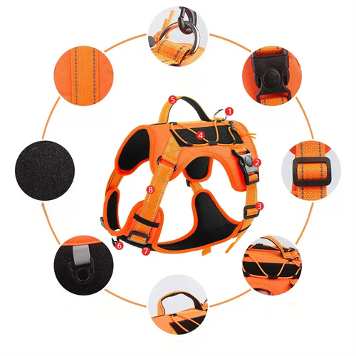 No pull dog harness and leash set for large dogs – close-up